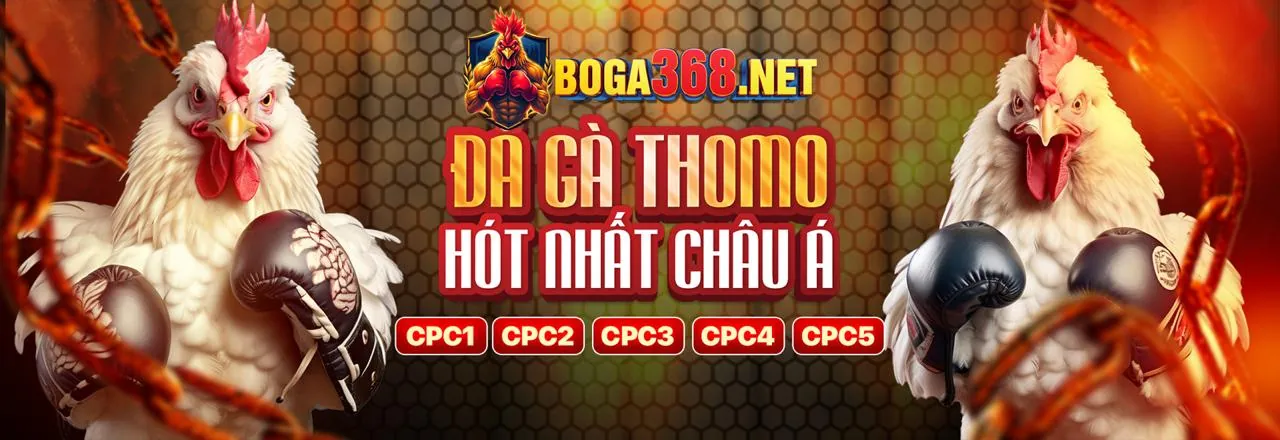 Đá Gà Trực Tuyến Hấp Dẫn tại win666 nhà cái