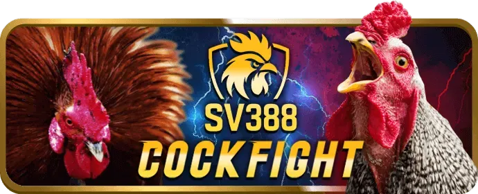 Giao diện quản lý tài khoản win666 nhà cái